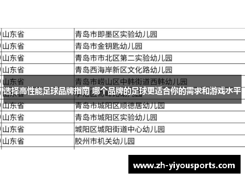 选择高性能足球品牌指南 哪个品牌的足球更适合你的需求和游戏水平 选择高性能足球品牌指南 哪个品牌的足球更适合你的需求和游戏水平