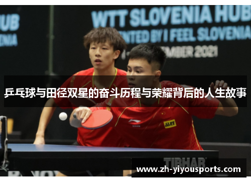 乒乓球与田径双星的奋斗历程与荣耀背后的人生故事 乒乓球与田径双星的奋斗历程与荣耀背后的人生故事