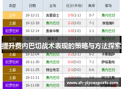 提升费内巴切战术表现的策略与方法探索 提升费内巴切战术表现的策略与方法探索