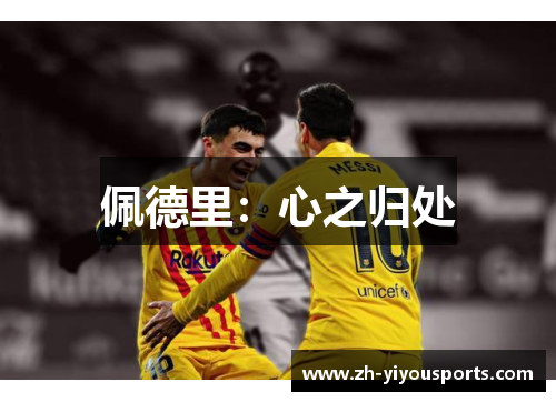 佩德里:心之归处 佩德里:心之归处