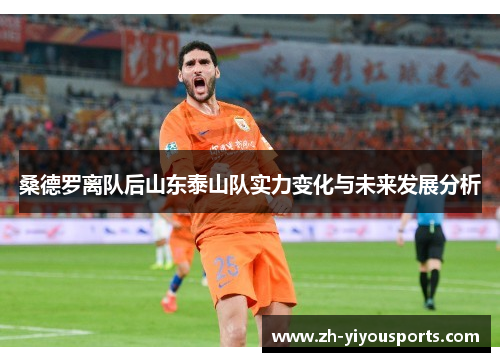 桑德罗离队后山东泰山队实力变化与未来发展分析