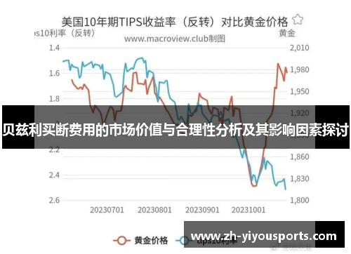 贝兹利买断费用的市场价值与合理性分析及其影响因素探讨 贝兹利买断费用的市场价值与合理性分析及其影响因素探讨
